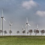 Rzeczywisty wpływ na środowisko - bilans ekologiczny elektrownie wiatrowe