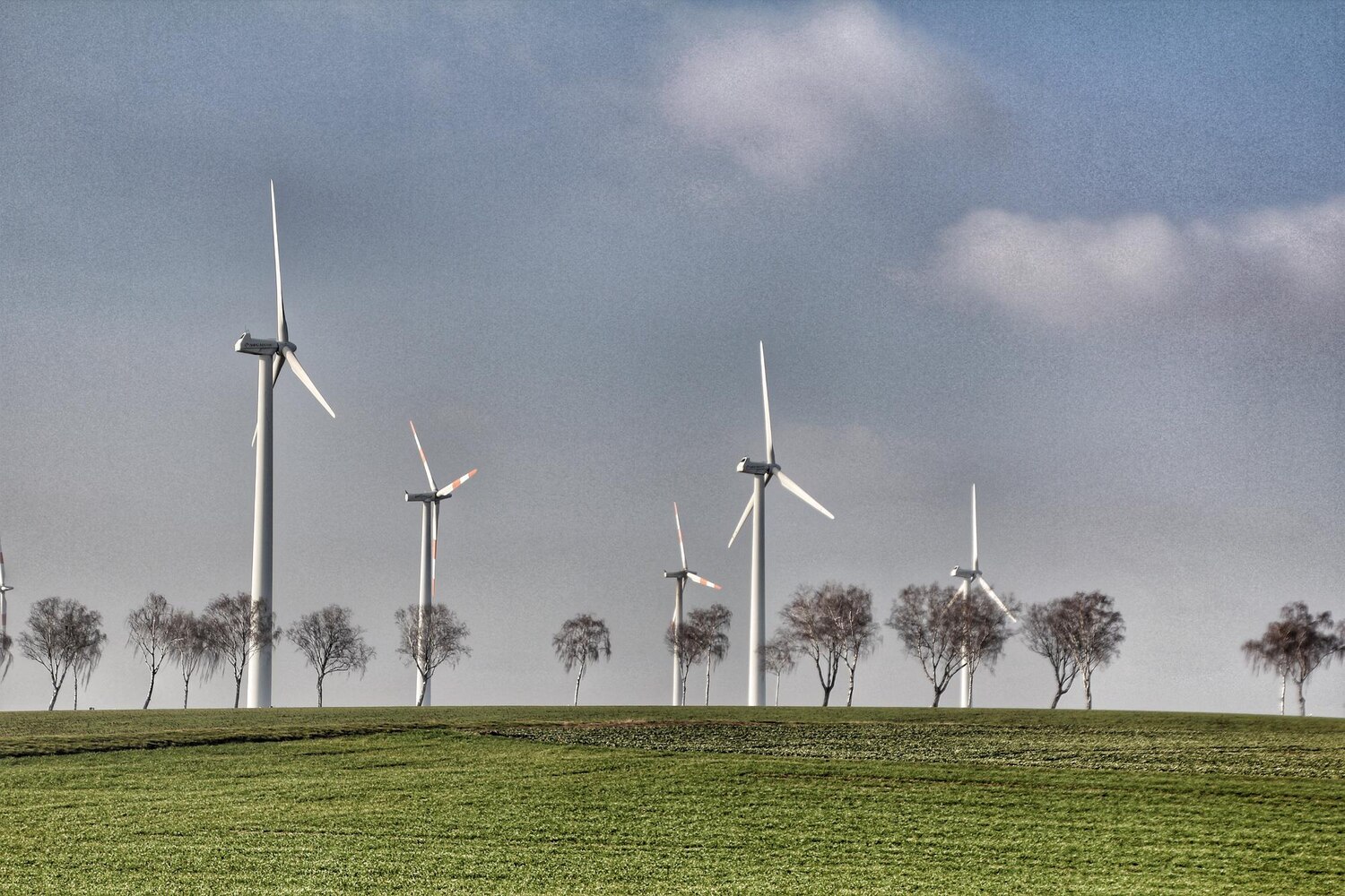 Rzeczywisty wpływ na środowisko - bilans ekologiczny elektrownie wiatrowe