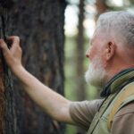 Biegły dendrolog – kiedy warto skorzystać z jego opinii?